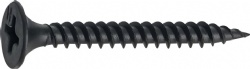 Drywall Screw